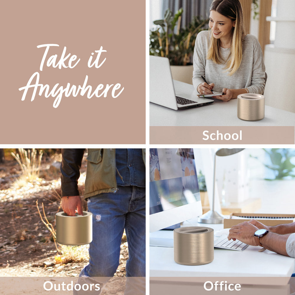 Bentgo Stainless Steel Insulated Food Container